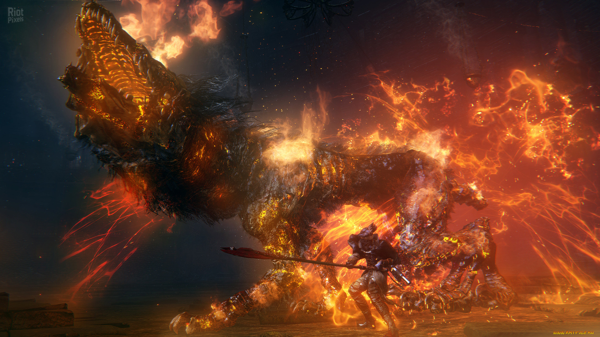  , bloodborne